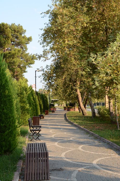 Empty Alley in Park