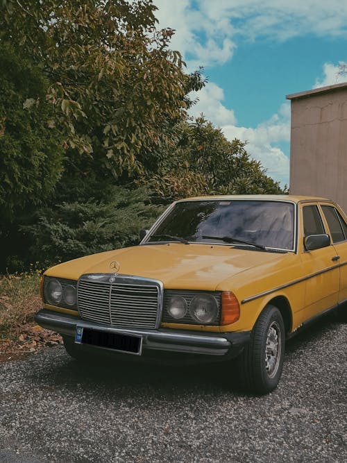 A Yellow Mercedes-Benz W123 Parked near Tree