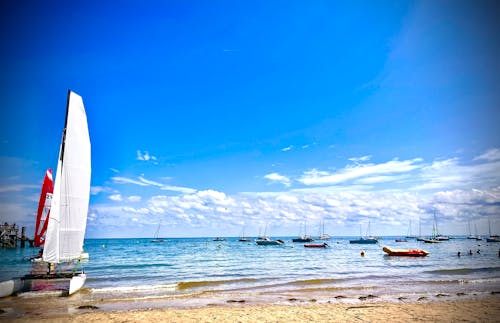 Бесплатное стоковое фото с берег, берег моря, берег пляжа