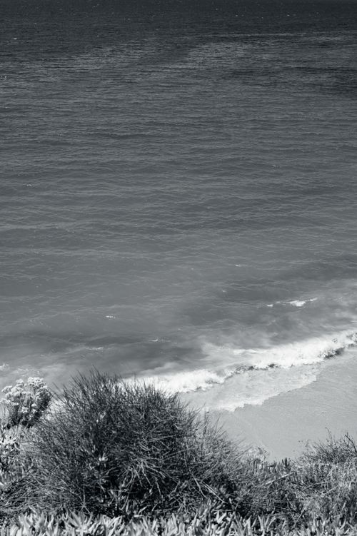 Free Serene black and white photo of a beach in Albufeira, Portugal, capturing the ocean waves and sand. Stock Photo