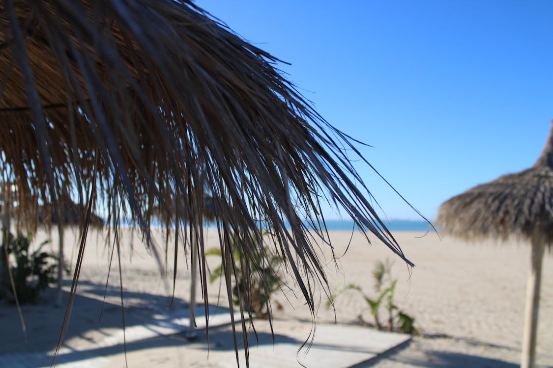 playa de Valdelagrana