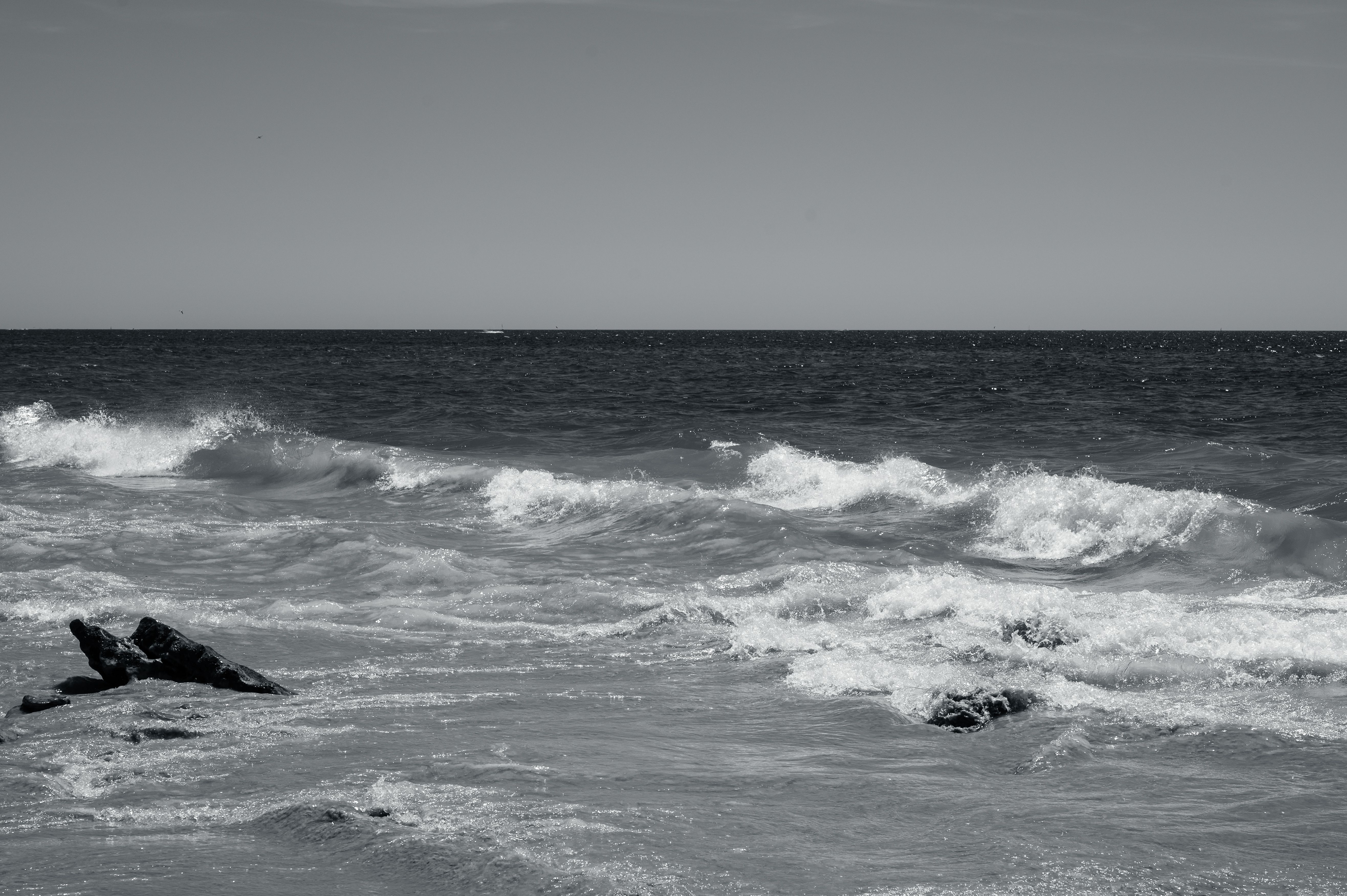 Black and White Photo of Waves near the Shore · Free Stock Photo