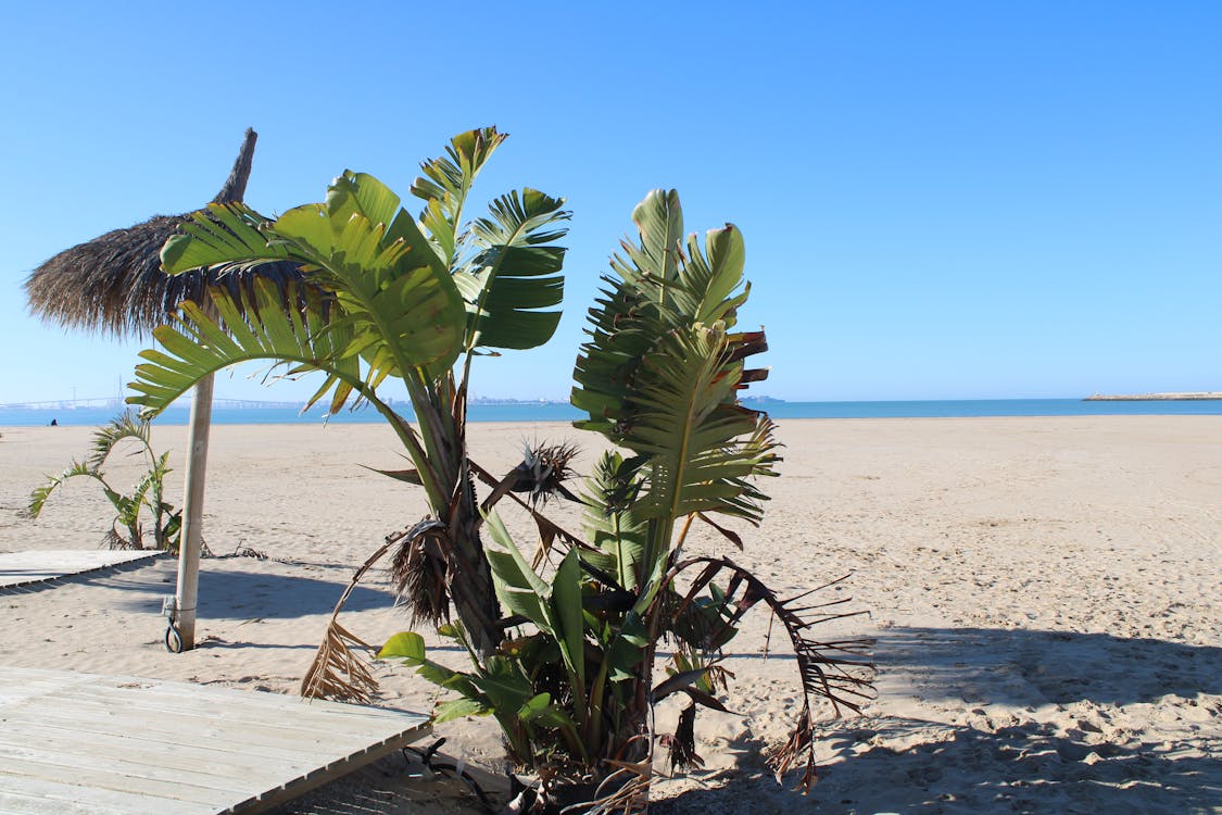 playa de Valdelagrana