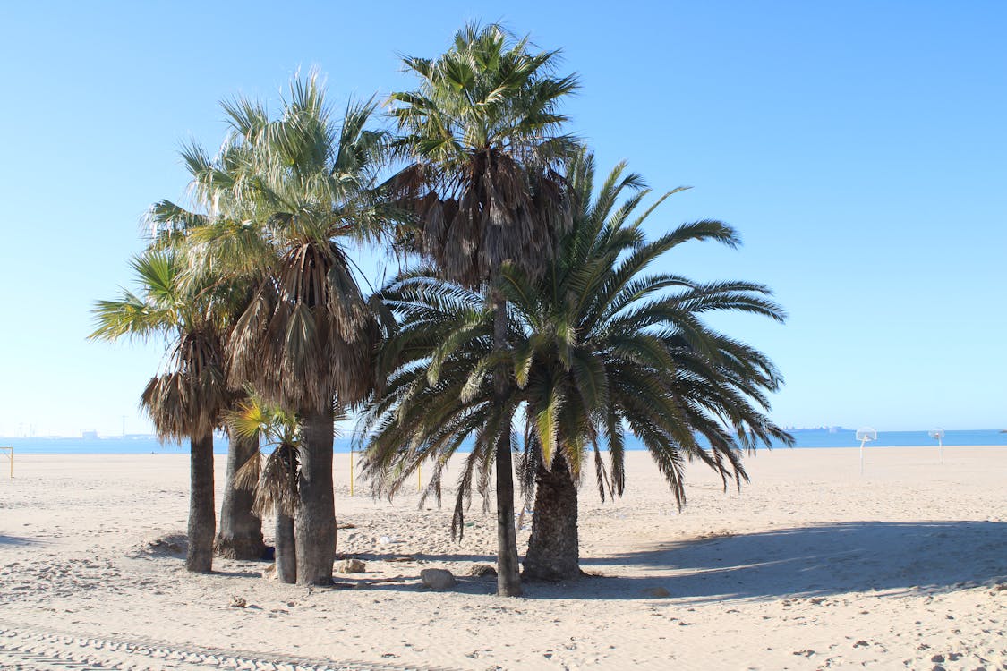 playa de Valdelagrana