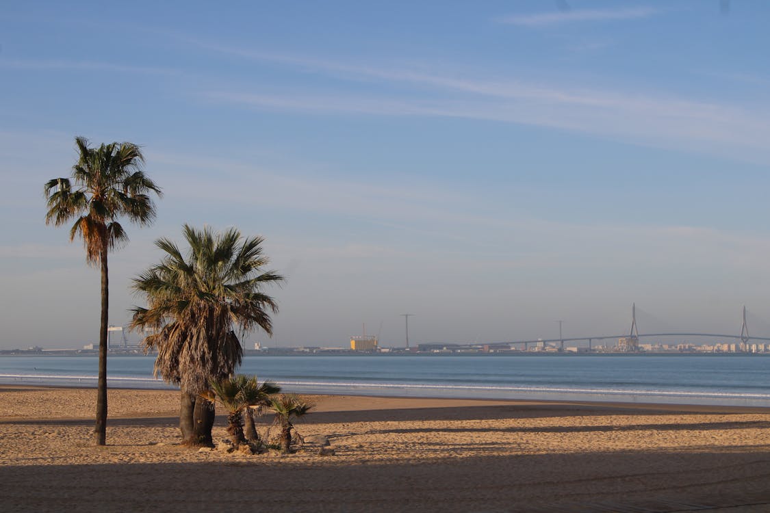 playa de Valdelagrana