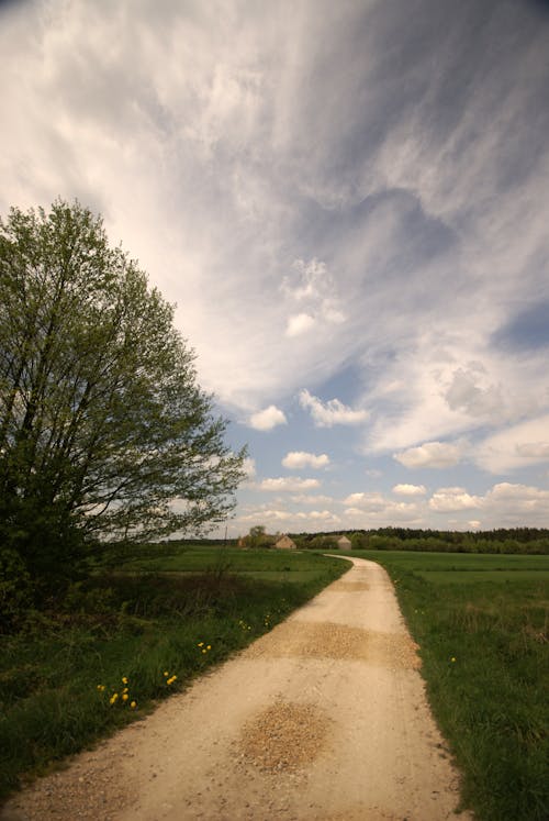 Dirt Road in Countryside