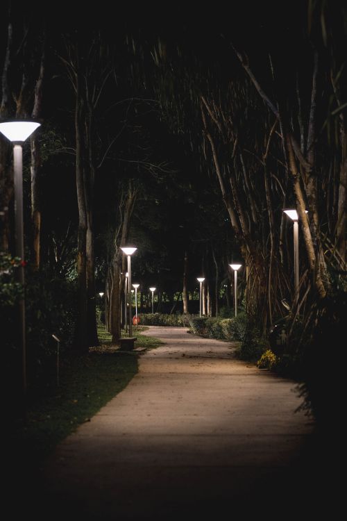 Free A tranquil night scene with a winding path lit by lanterns in a park, offering a calming atmosphere. Stock Photo