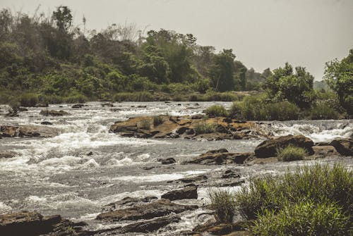 Flowing Water in River