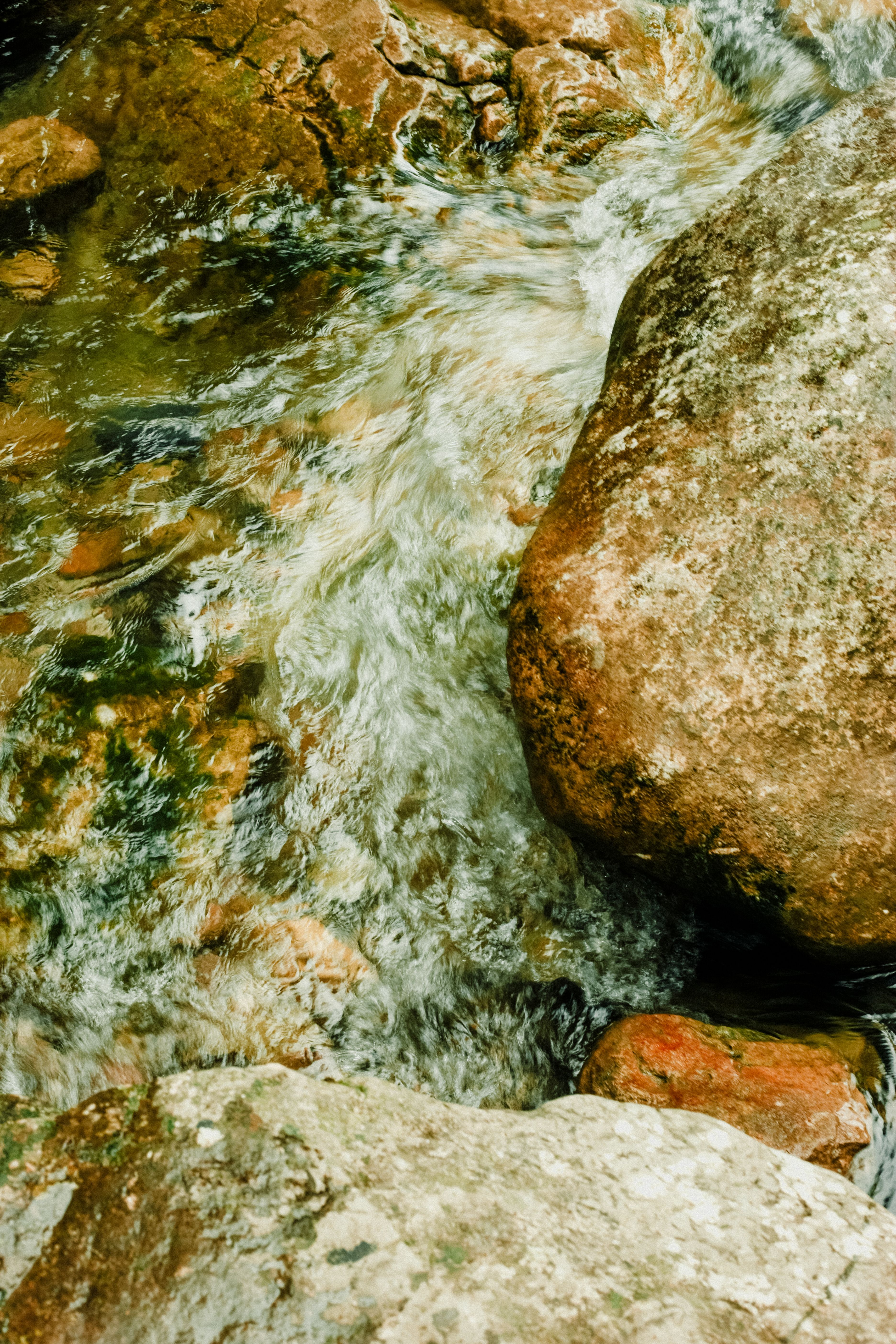 A flowing stream · Free Stock Photo