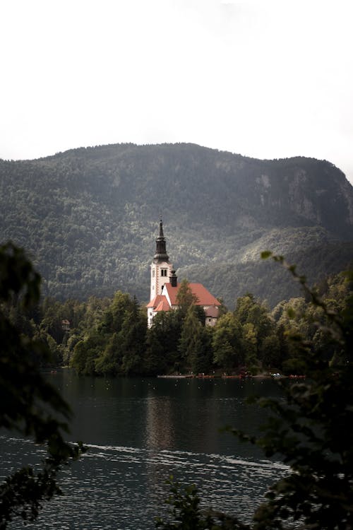 Fotobanka s bezplatnými fotkami na tému hmla, hora, jazero