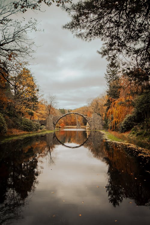Fotobanka s bezplatnými fotkami na tému jeseň, les, most