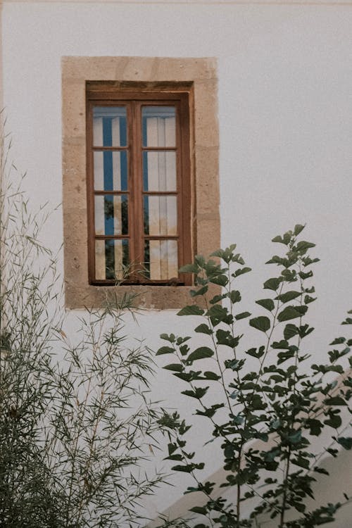 Fotos de stock gratuitas de casa, casas, exterior del edificio