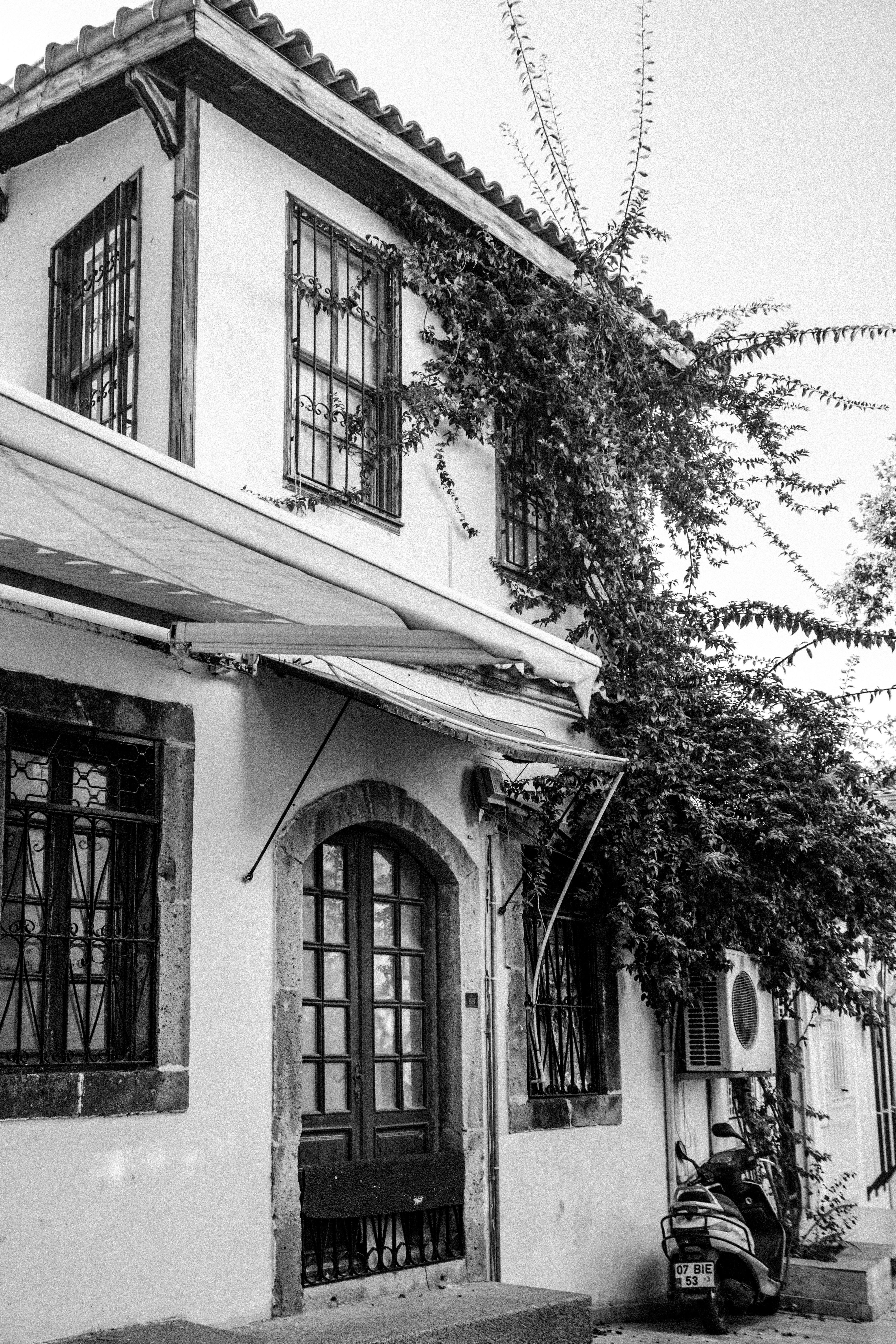 Black and white photo of a vintage house with ivy-clad walls, showcasing urban charm.