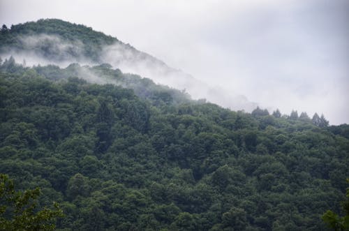 Foto stok gratis alam, awan, dalam