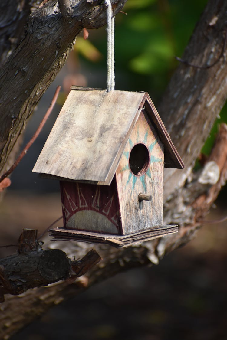 Close Up Of Small, Wooden Birdhouse