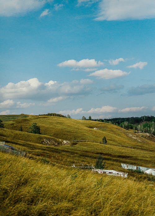 Imagine de stoc gratuită din dealuri, fotografiere verticală, la țară