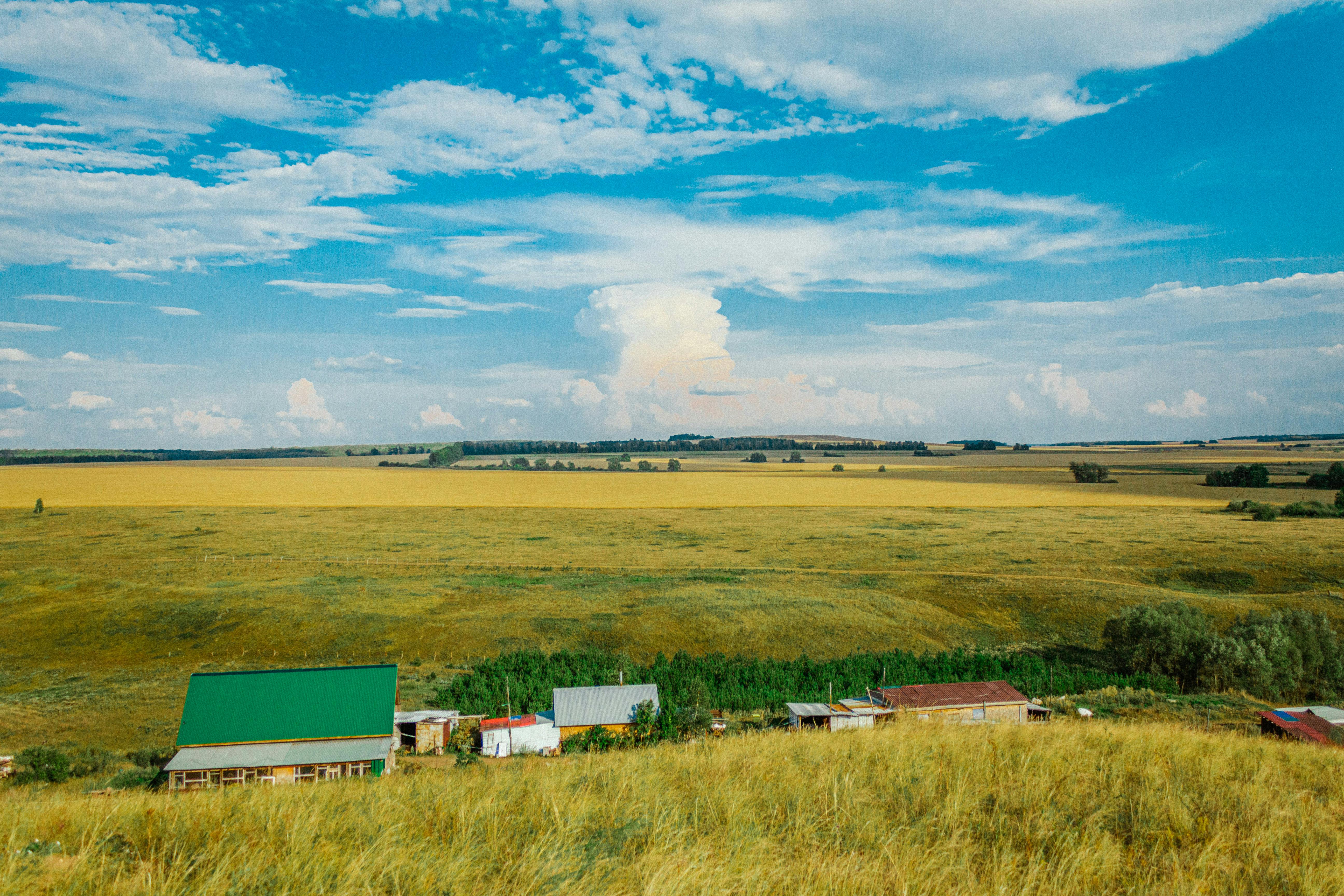 Rural Access to Fertility Services: Navigating Care When You're Far From a Clinic