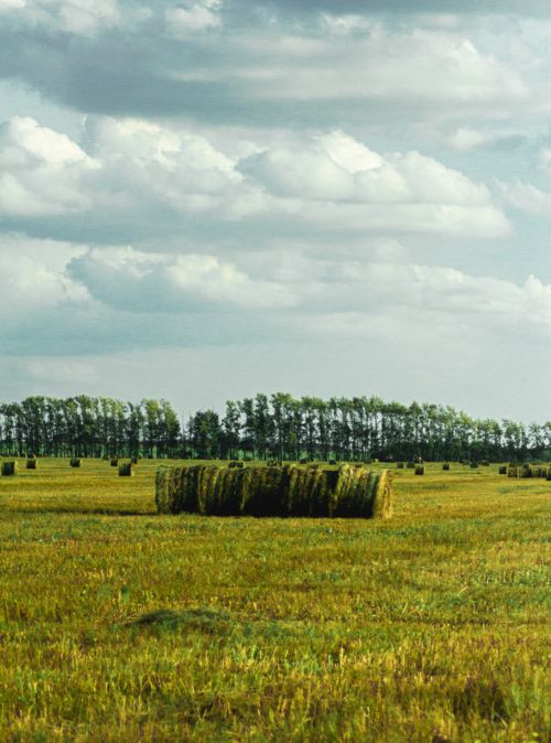 Free Picturesque rural landscape with hay bales under a cloudy sky, perfect for agricultural themes. Stock Photo