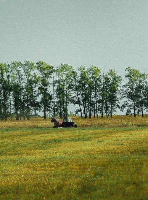 Free A lone tractor working in a tranquil rural field, surrounded by lush green trees under a clear sky. Stock Photo