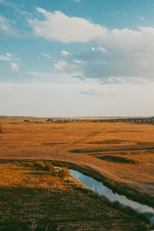 Stream on Field in Countryside