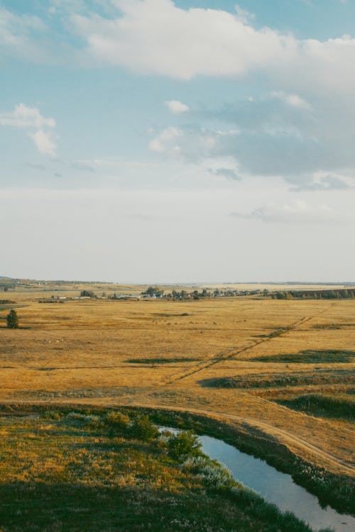 Stream and Rural Field in Countryside