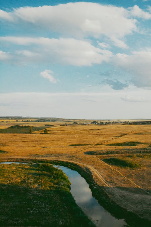 Stream on Field in Countryside