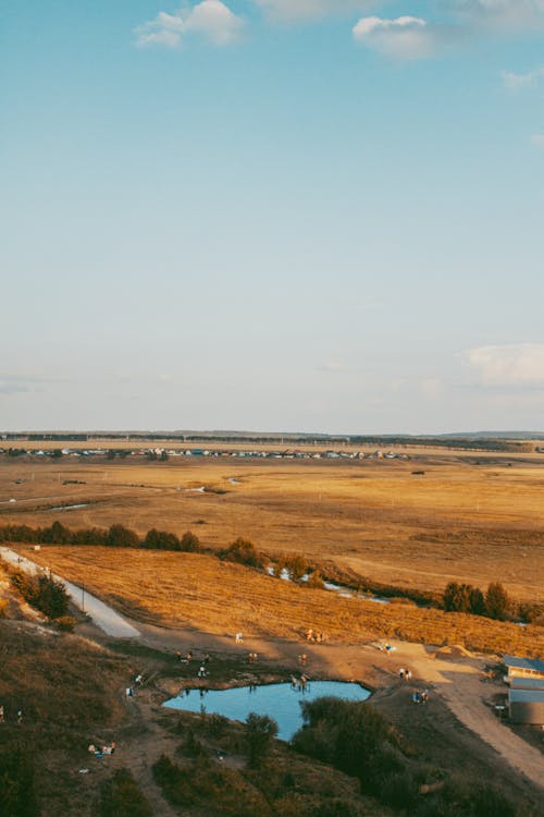 Základová fotografie zdarma na téma hřiště, krajina, pláně