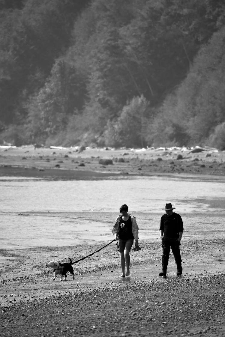 Couple Walking The Dog By Sea