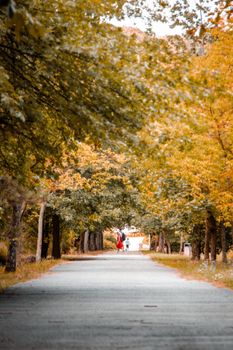 Scenic autumn scene of people walking through a tree-lined park walkway in Istanbul, Türkiye.
