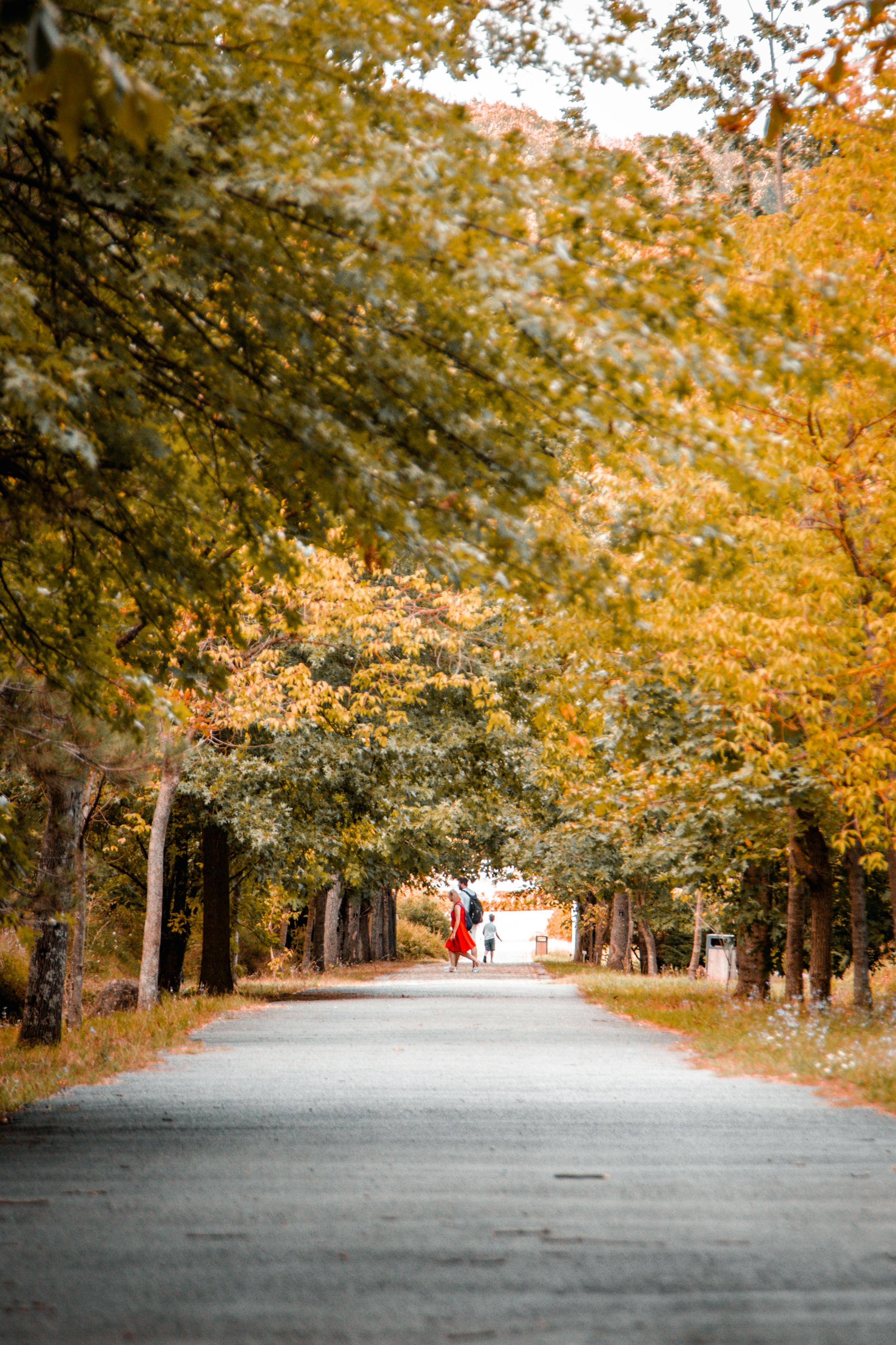 Burial family photos download the best free burial family stock photos