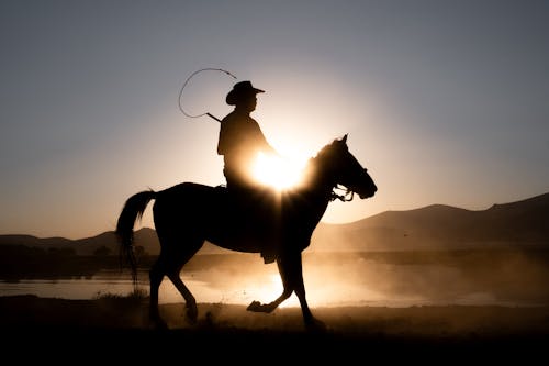 Horseback Riding Man Holding Whip