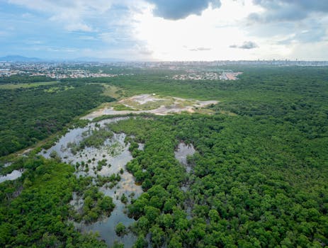 Stunning aerial view of Atalaia Park in Fortaleza, Brazil, showcasing lush greenery and city skyline.