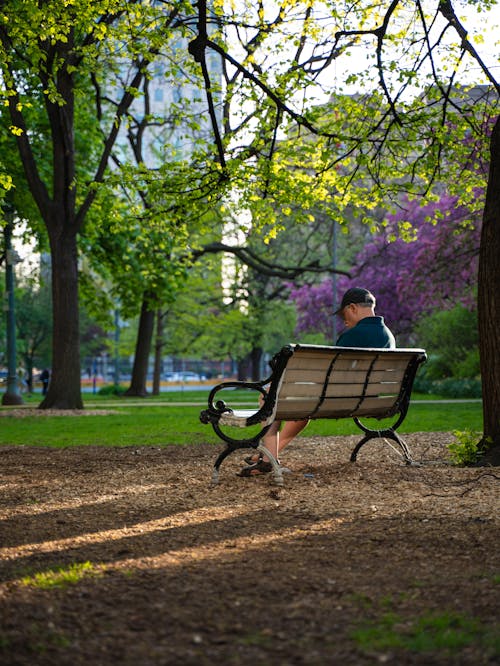 Candid Photo of a Man Sitting on a Bench in a Park in City 