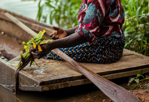 A close-up of an African woman holding plants while sitting in a wooden canoe in Nigeria.