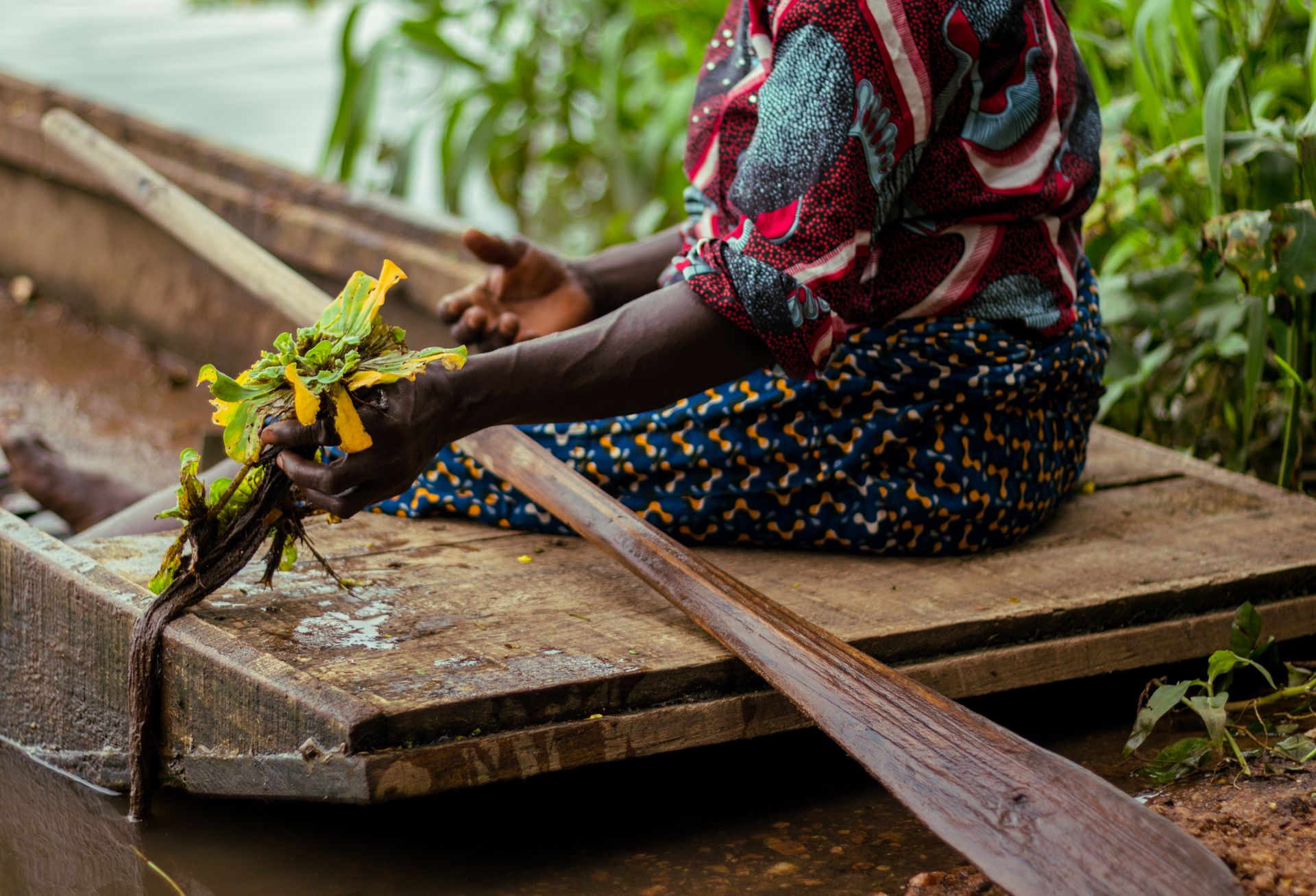 A close-up of an African woman holding plants while sitting in a wooden canoe in Nigeria.
