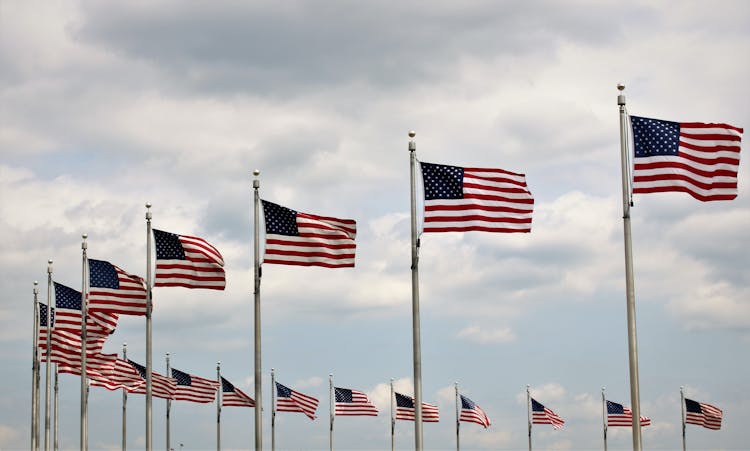 American Flags In Circle