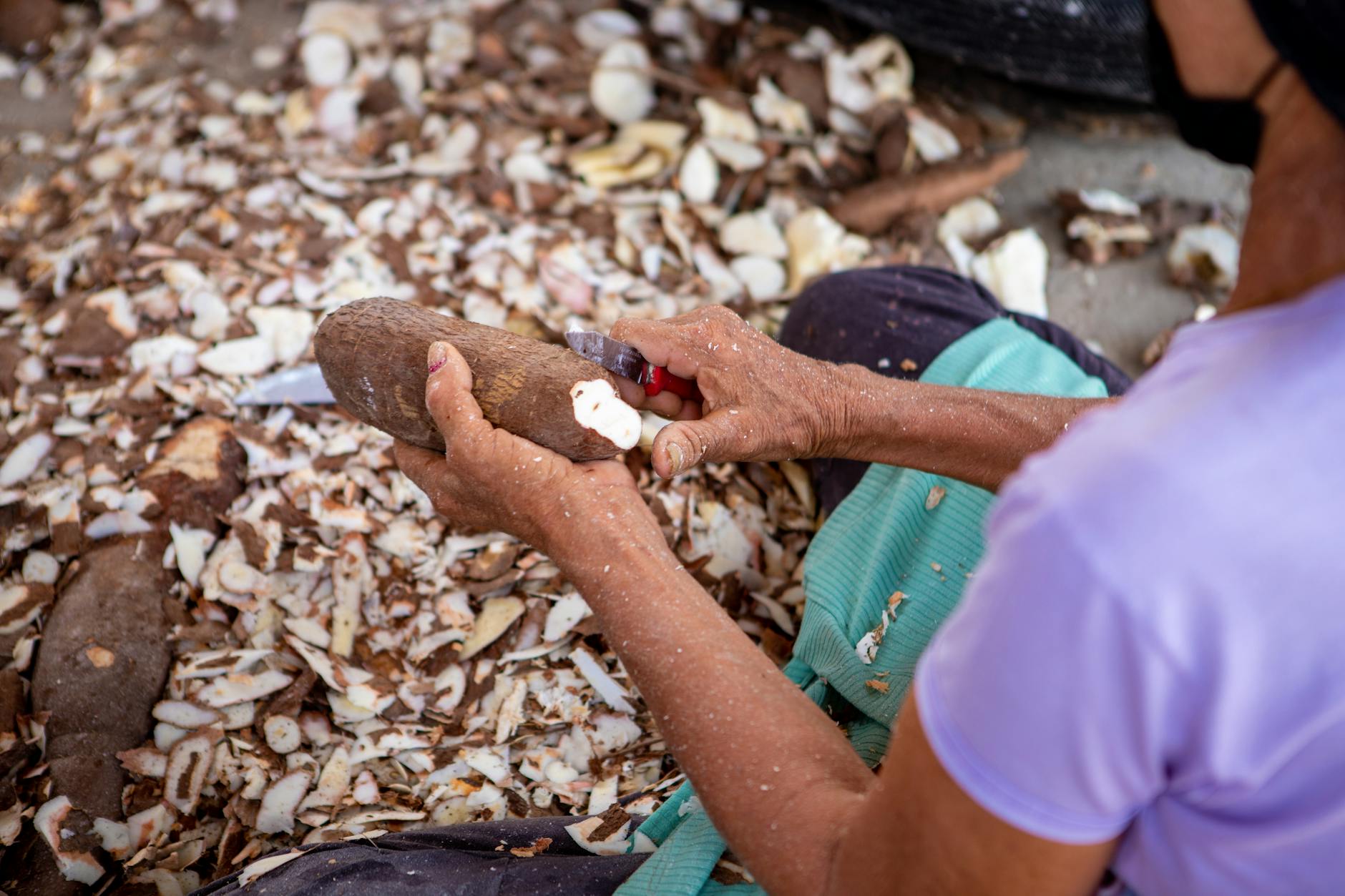 Cassava Preparation Cooking Process