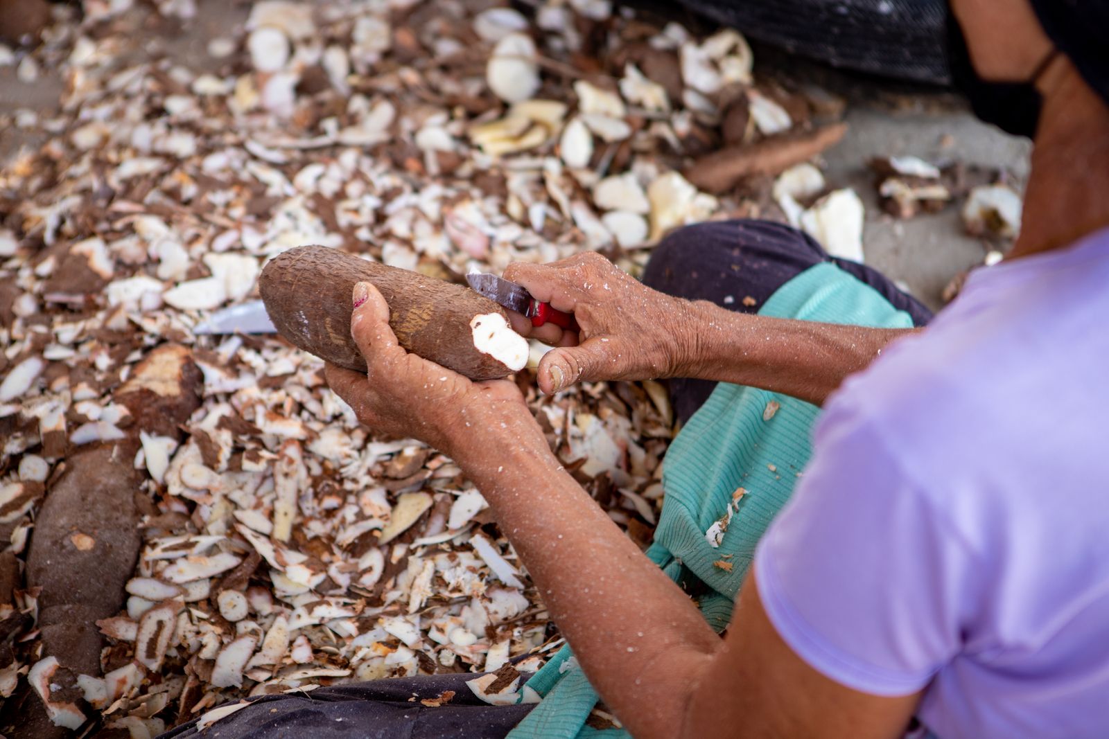 Hands peeling the brown skin from a cassava root with a knife, with pale peels scattered on the ground, the first processing step before cassava becomes tapioca starch