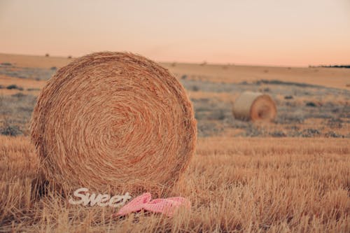 Sweet Text by Hay Bale on Field