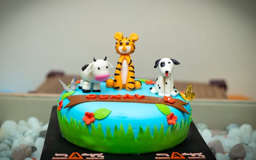 Darmowe zdjęcie z galerii z dekorowanie ciasta, prezent urodzinowy, urodziny