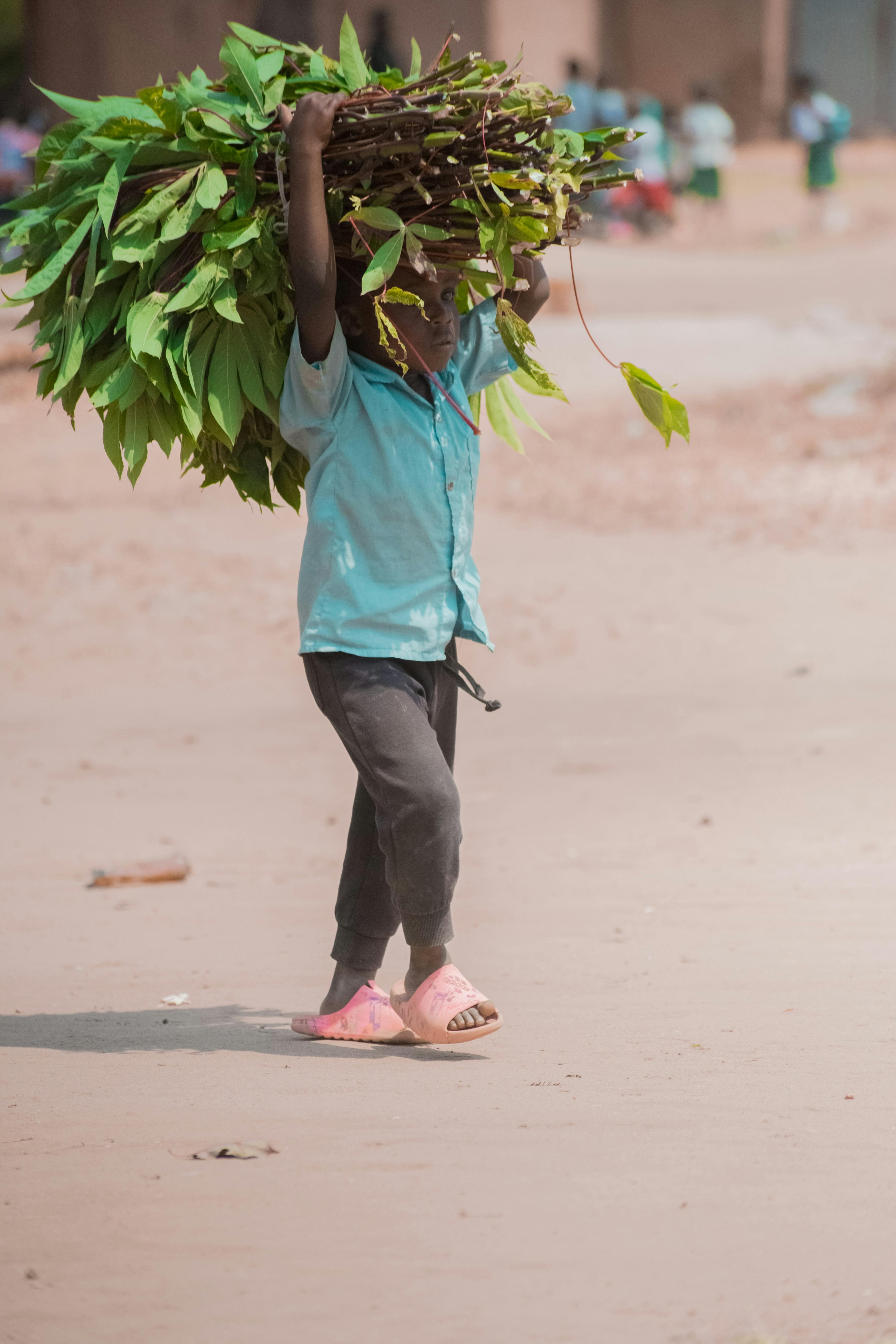 A young boy walks on sandy ground, carrying a bundle of leafy branches in a Ugandan village.