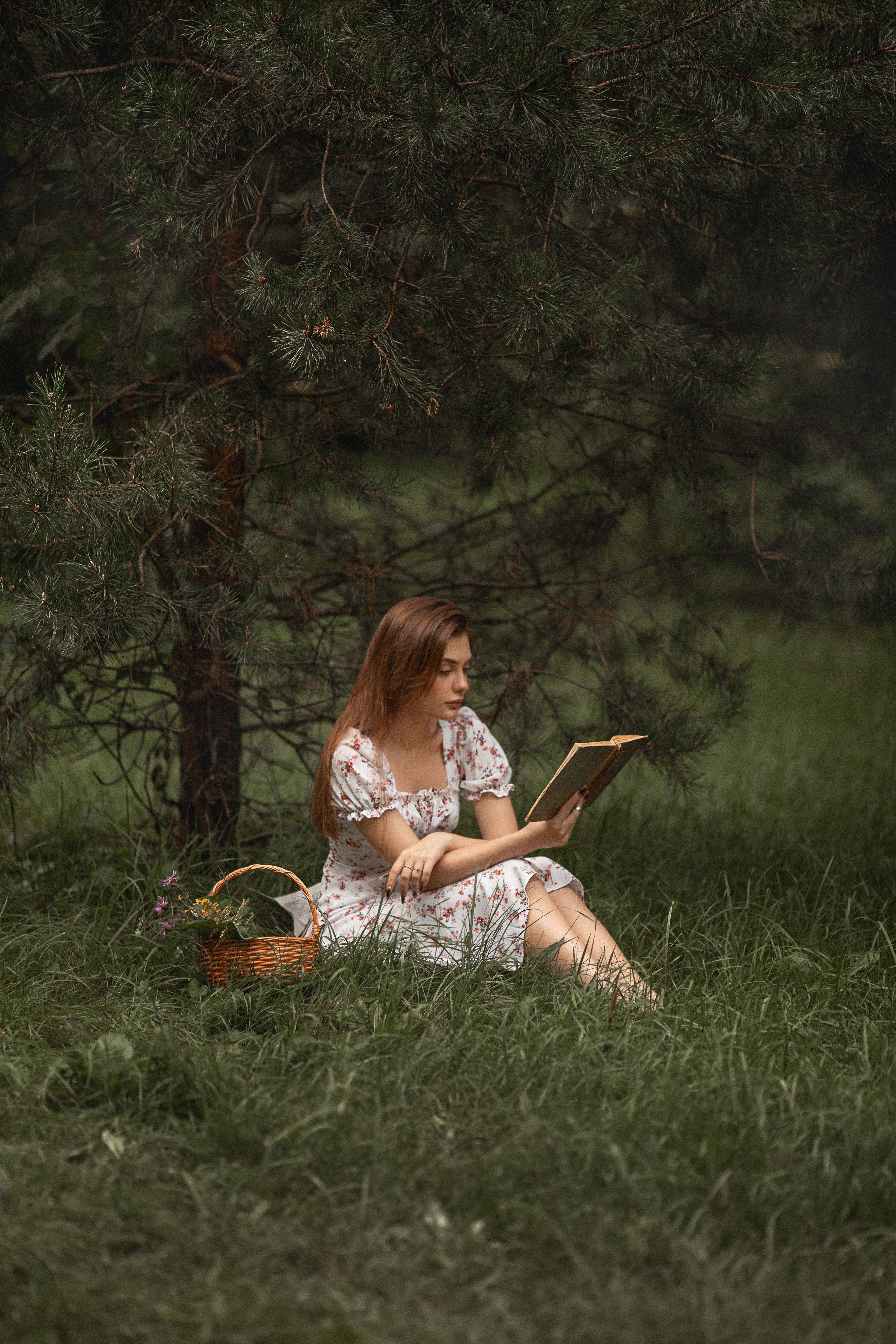 Young Woman in a Dress Sitting on the Grass with a Book · Free Stock Photo