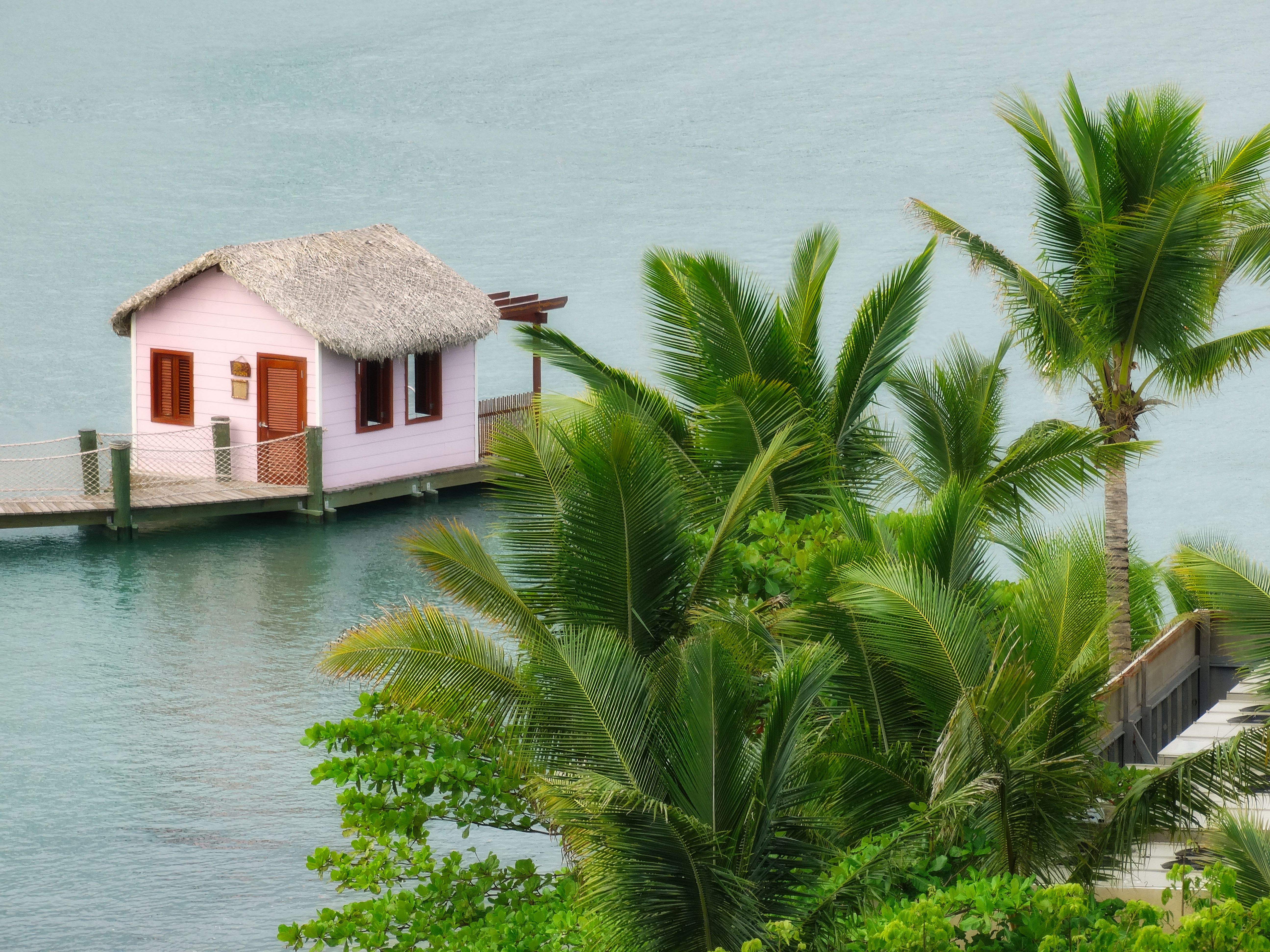 Best Time To Book Your Mustique Trip — Mustique travel guide photo