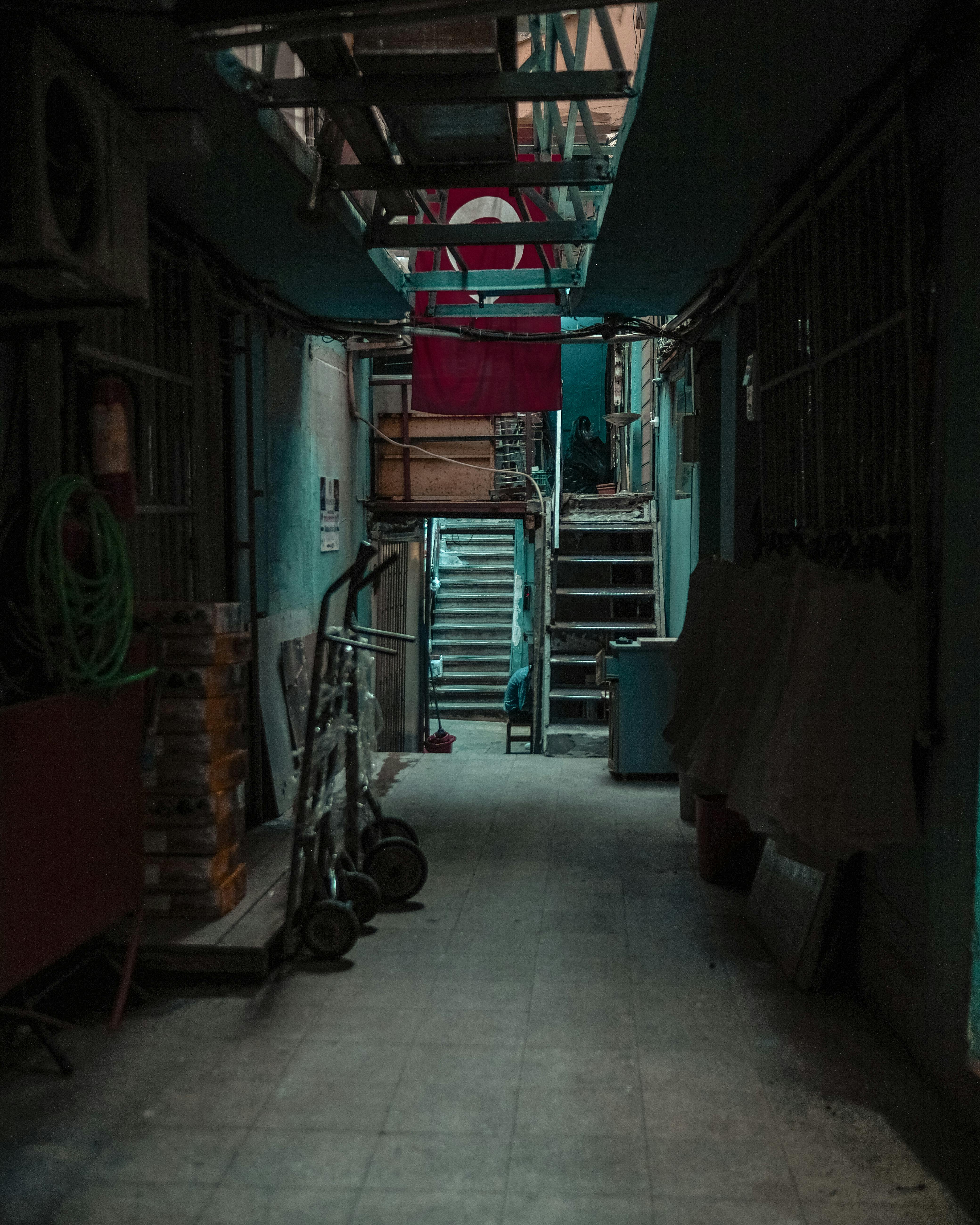 Pași pentru igienizarea pivniței înainte de depozitarea proviziilor