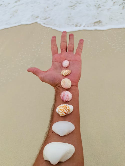 모래, 바다, 손의 무료 스톡 사진