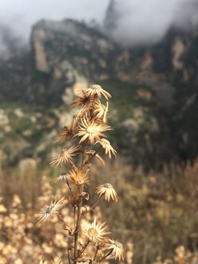 跟女朋友表白的句子 跟女朋友表白的句子暖心