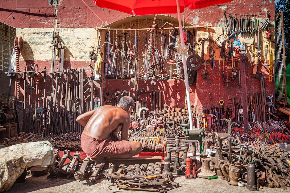 IPTV resale business wellness