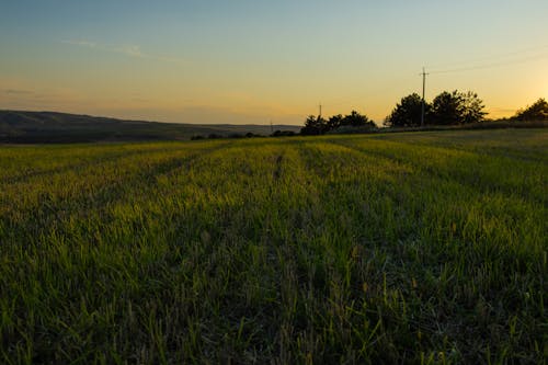 A magical evening atmosphere during the summer. A beautiful plain in the fields of Moldova