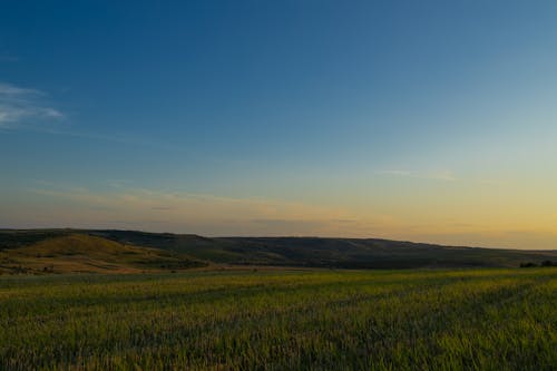 A magical evening atmosphere during the summer. A beautiful plain in the fields of Moldova