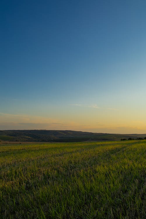 A magical evening atmosphere during the summer. A beautiful plain in the fields of Moldova